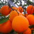品声正宗重庆奉节伦晚脐橙礼盒装源头产地直发薄皮新鲜水果橙子甜橙 65mm（包含）-70mm（不含）小果 带箱20斤（两层包装）