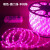 节行 led装饰灯条 户外装饰彩灯圆二线串灯 100米/卷 节日氛围灯造型灯带 粉色