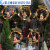 ABDT圣诞树装饰挂件木质橱窗门环圣诞节氛围灯串商场布置发光花环挂饰 花环麋鹿