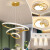 维诺亚LED吸顶灯客厅灯家用大灯卧室餐厅吊灯具现代简约大气2024年新款 琉光金 圆60+40+20厘米三色调光