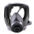 LISM防毒面具全面罩喷漆专用防尘口罩防工业粉尘防护罩放毒氧气呼吸器 3号梯形盒1对