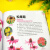 花与花语 184种常见四季花卉手册 花艺书籍插花入门养花花语大全书花图鉴种花花卉制作花艺师家庭种植栽培技