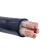 鹏贺 电线电缆 YJV22 4*10平方 国标户外地埋铠装4芯铜电缆 硬线 1米价