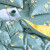艾薇 被套单件纯棉双人被单床上用品全棉被罩兰亭序（浅蓝）200*230cm