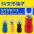 适用于SV1.25-4S冷压接线端子叉形线鼻子铜U形型预绝缘端子接头叉 SV2-3.5