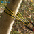 SHANDUAO 户外扁带环 攀岩登山装备 承重扁带绳 耐磨保护带SD289 黄色双边150cm