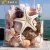 景翔景翔天然贝壳海螺海星珊瑚枝套装海洋生物标本螺鱼缸水族摆件用品 天然海螺贝壳海星套餐(天然海星