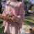 AEMAPE粉色镂空毛衣女装2024春夏季新款时尚针织衫女宽松慵懒风 白色 XL_建议125-135斤