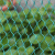 鹿凌青养鸡围栏网塑料尼龙养殖网家用圈拦隔离编织网防逃合股软丝防护网 8米宽10米长天网/送绳60米