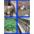 镀锌钢丝网围栏圈地养殖鸡鸭动物栅栏护栏鱼塘防裂抹墙铁丝网孔 1米高6厘米网孔1.3毫米粗50米长