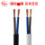 国标铜芯RVVB2芯0.5-4平方扁型平行线护套电源线照明灯软电缆 白色RVVB 2*2.5 1米
