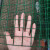 铁丝网围栏养殖网小网格铁网防鸟网鸡笼子拦鸡网栅栏网隔离护栏网 松绿色 1.2米高1.8粗30米