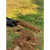 正宗洛阳铲头取土神器挖土洞锹打眼工具挖树考古勘探取样挖孔栽树定制 1.8米考古学者套装