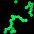 红色/绿色/黄色/蓝色二氧化硅荧光微球 稀土铕 时间分辨荧光微球 20毫升 10%固含量100mg/ml