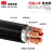 红旗电缆（ZGHQDL）YJV22五芯4+1铜芯铠装低压电力工程用电缆硬线 1米 货期7天50米起订 YJV22 4*2.5+1*1.5