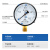 SYCIF测水空调机油真空氧气压力表径向安装Y100 Y-100 0-0.06MPA 0.6公斤