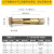 金固牢 KClj-28 锥帽型彩锌外六角膨胀螺丝 套管式金属螺栓 M10*60（20个）