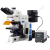 BM彼爱姆研究荧光生物显微镜BM-SG15Y六孔转换器40~1000倍DIC插复眼照明 荧光激发UV、V、B、G 100W汞灯数控
