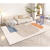 初构想（CHUGOUXIANG）地毯客厅2024新款沙发茶几垫子地垫轻奢家用可擦免洗卧室床边 BO-867 50x80cm