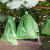 露天葡萄套袋防虫防鸟水果专用防雨防水纸袋保护莲雾袋子 25*34-绿色葡萄套袋-1000个