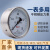 轴向储气罐气压表Y100BF-Z杭州鹳山Y-100ZB轴向容器不锈钢304鹤山 0~2.5mpa