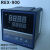 RKC智能温控仪REX-C400FK02-M*AN温控器 REX-C100 C700温度控制 REX REX-C100 继电器输出