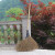 竹扫把农村老式竹丝扫帚笤帚户外环卫通用大扫把扫院子 鬃毛扫帚 长1.4米