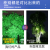 树灯景观LED投光灯RGB射树灯园林庭院绿化户外防水七彩照树灯 亚明-400W单色紫光-足瓦加厚-IP66防水