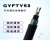 GYFTY53-8B1.3室外铠装光纤4/12/16/24/48/96芯非金属直地埋光缆 GYFTY53-60芯