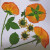 植物压花器书签制作工具干花标本手工diy自押花神器模具板材 押水果器+A5版(16*21cm)