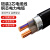 FIFAN 2芯铜电缆线硬线ZC-YJV22电压0.6/1KV铠装地埋线 2*16平方
