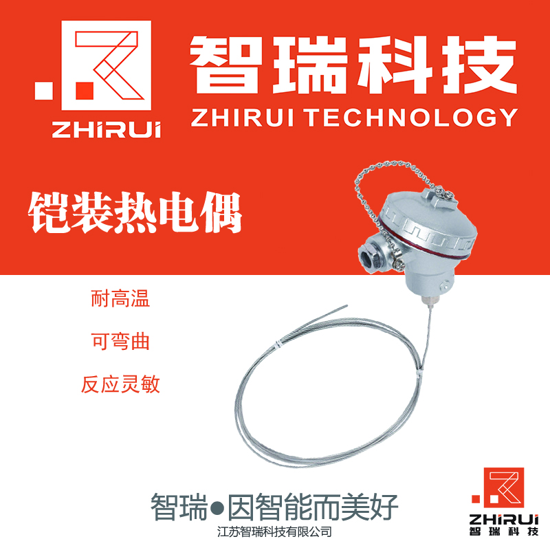 智瑞 铠装热电偶 温度传感器 HVZR-WRK K分度 Φ8 L=20000mm 2520材质 M20*1.5