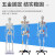 85CM人体骨骼模型 170CM骨架人体模型成人小骷髅教学模型脊椎身 85CM立式骨骼附神经及双侧着色