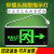 带插头新国标安出口指示牌 消防楼层疏散标识灯应急通道标志灯 带插头(双面 左向出口)