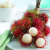 泰国红毛丹水果新鲜毛荔枝应季热带水果多汁肉厚红毛丹 2.0斤