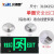 兴博朗（Xingbolang）LED消防应急指示灯 XBL99-29A 12W单面安全出口 AC220V 一体式 户外 绿