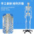 85CM人体骨骼模型 170CM骨架人体模型成人小骷髅教学模型脊椎身 85CM立式骨骼附神经及双侧着色