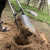 定制锰钢对锹铲夹锹掏土挖坑打洞洛阳铲挖电线杆挖树坑挖桩掏桩芯 对夹铲头不带杆子