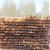 落叶松防腐油木杆 通信电力防腐油木杆 6米7米8米9米油木杆木质杆 7米140粗 小头