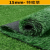 帝致 仿真草坪地毯假草皮绿色塑料围挡人工草地铺垫幼儿园人造地垫户外；15mm特密草/一平米