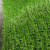巨成云 仿真草坪人造草地绿色垫子阳台庭院塑料假草皮 三色草 草高2.5cm 宽2米*长25米【无背胶】