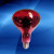 远红外线理疗灯烤电灯泡理疗电烤灯神灯红光灯灯泡 两粒优惠装红光(温度高效果好) 100300W