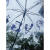 迦图鲮透明雨伞涂鸦diyNANA周边手绘雨伞大崎娜娜透明雨伞涂鸦透明伞可 自己DIY透明伞12色马克笔