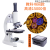 光学显微镜10000儿童科学中学生生物实验小学生电子目镜高倍高清 蓝色