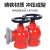 中闽富新 消防器材室内消防栓消防阀门 室内消火栓（旋转型） SNZ65 3C认证产品 一个价