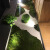 仿真青苔假苔藓造室内微景观人造草坪绿植墙植物墙面绿化装饰 置石苔藓地貌C款