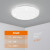 爱德朗LED客厅灯简约现代大气灯具新款家用吸顶灯个性网红卧室灯 星钻款-18W-白光(直径33CM)
