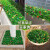 仿真草坪假绿植带花隔断植物墙塑料装饰绿草皮垫地毯造景摆设窗台 8.5厘米宽 X 60厘米长