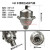 奔新农新型立式排气阀自动放气阀304不锈钢排气阀地暖气锅炉热水管道 立式排气阀DN20 6分