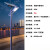 LED户外照明3米3.5米景区公园防水太阳能铝型材景观道路灯 3米异形太阳能 30W